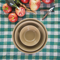 Ensemble de bols à salade et pâtes en coque de riz polie, réutilisables, sans BPA, écologiques, style américain