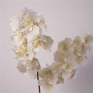 BF-OD11 Fleurs d'orchidées artificielles Phalaenopsis <span class=keywords><strong>Vanda</strong></span> <span class=keywords><strong>bleu</strong></span>-violet à 7 têtes, toucher réel, tige unique, vente en gros - Product Image 2