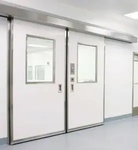 Cleanroom Accessoires Gmp Operating Room Zuivering Groothandel Sandwich Panelen Deur Voor Modulaire Clean Room