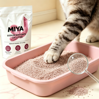 Litière pour chat en bentonite de qualité supérieure, agglomérante, sans poussière, durable, contrôle des odeurs, formule minérale naturelle, non parfumée