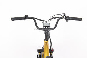 Porte-vélos électrique à double selle avec entraînement pour enfants Bicyclette électrique hybride à batterie au lithium Vélo de ville - Product Image 5