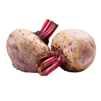 Fourniture d'extrait de betterave rouge racine de betterave poudre 10:1 poudre de betterave de qualité alimentaire