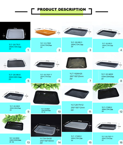 Plateau jetable noir <span class=keywords><strong>Timeco</strong></span> PT-1002 en gros, plateau en plastique PP pour supermarché, bol pour viande, emballage sous vide - Product Image 6