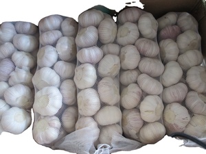 Tỏi tỏi tươi tỏi tươi tỏi hành tây tươi tươi hành tây đỏ tươi tỏi bawang putih chanh tươi - Product Image 2