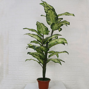 Vente en gros <span class=keywords><strong>de</strong></span> plantes artificielles en bonsaï Rohdea Japonica, petites plantes en pot, décoration intérieure pour le bureau et les magasins - Product Image 5