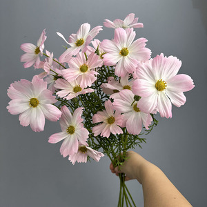 Nouvelles fleurs artificielles en tissu de soie Galsang, fleurs artificielles Cosmos, plusieurs couleurs pour la décoration de la pièce, du bureau, du jardin, des fêtes de printemps - Product Image 5