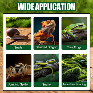 Transparant acryl modern voor glanzende laminatie afneembaar terrarium solide reptielenverblijf voor gekko's tarantula spin eenvoudig - Product Image 5