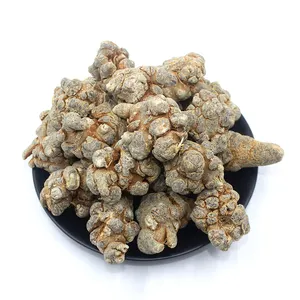 Gansu Guocao Herbal Cina Kualitas Tinggi Panax Notoginseng/Pseudo-ginseng