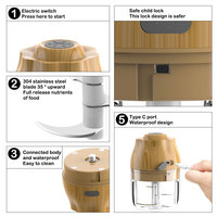 Elektrische Mini Knoflookhakker 250ML USB Groente- en Uienhakker Draagbare Kleine Voedselprocessor voor Gember Chili Groenten