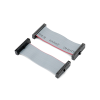 Câble ruban femelle IDC 20 broches 2x10 gris à rayures rouges avec clé polarisante pour bus de données parallèle industriel OEM