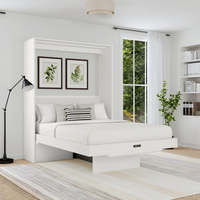 Lit Mural Escamotable Taille Queen en Bois avec Panneau Bureau, Cadre en Acier Inoxydable, Tête de Lit Éclairée et Rangement – Pliable et Gain de Place pour la Maison