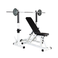 Barra de Soporte Abdominal Universal de Acero con Doble Barra para Entrenamiento Integral de Cintura y Abdomen, Equipo para Ejercicios en Casa y Gimnasio