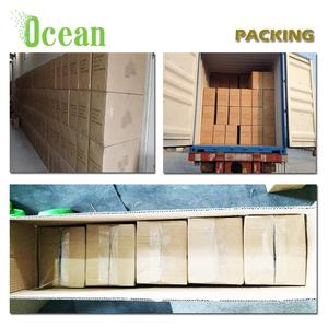 หัวใจมนุษย์5ครั้งขยายกายวิภาคสำหรับการสอน - Product Image 6