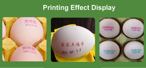 Machine d'impression à code <span class=keywords><strong>de</strong></span> date pour œufs <span class=keywords><strong>de</strong></span> poulet, <span class=keywords><strong>de</strong></span> <span class=keywords><strong>canard</strong></span> et d'oie, machine d'estampage, imprimante à jet d'encre pour œufs, vente en gros - Product Image 5