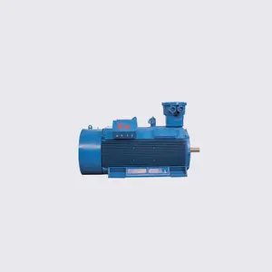 FLIER 3 Three Phases Asynchronous AC Motor 3000V 10000V 6000V High Voltage Electric Motor for Blowers Compressors Pumps Indus