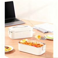 Boîte à lunch chauffante électrique portable multifonctionnelle pour la maison et la voiture, type-C, 1L, en acier inoxydable 304, classe d'efficacité énergétique