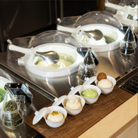 Machine à glace et gelato automatique tout-en-un Miles Galaxy Pro V2 avec yaourt et noix en acier inoxydable 304 – Vente chaude