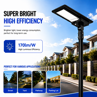 Lampadaire solaire 80W monté sur poteau, étanche IP65 pour l'éclairage des rues et extérieur