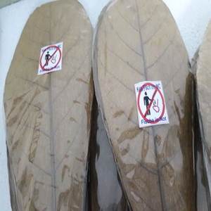 ใบอัลมอนด์อินเดียขนาด10ซม. ถึง18ซม. 4-7นิ้ว10นิ้วสำหรับสัตว์เลี้ยงในตู้ปลาอุปกรณ์สำหรับสัตว์เลี้ยงคุณภาพระดับพรีเมียม - Product Image 1