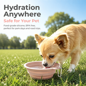 Food Grade Silicone <b>Collapsible</b> Dog & Cat Bottle Foldable Travel Water <b>Bowl</b> with Carabiner Clip Dishwasher Safe Lightweight - Product Image 6