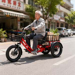 <span class=keywords><strong>Tricycle</strong></span> Électrique <span class=keywords><strong>Adulte</strong></span> 750W en Promotion 2026, Vélo Électrique à 3 Roues 60Ah 48V, 1 Batterie Tout-Terrain, Autonomie Étendue 200KM - Product Image 4