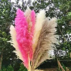 Sumflora decorative flowers extra fluffy pampa natural dried flower brown pampas grass for home decor