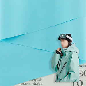 <span class=keywords><strong>Veste</strong></span> de sport légère en tissu ripstop 100% polyester à mailles fines, imperméable, antistatique, rembourrée, motif - Product Image 2