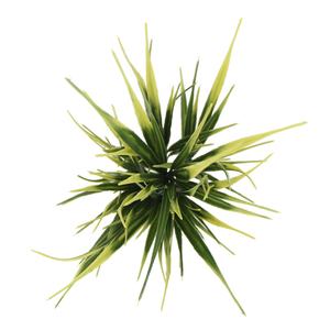 Fougère artificielle de plantes réaliste et durable pour la <span class=keywords><strong>d</strong></span>écoration intérieure de la maison et du bureau, l'affichage <span class=keywords><strong>des</strong></span> expositions et la <span class=keywords><strong>d</strong></span>écoration intérieure <span class=keywords><strong>des</strong></span> hôtels - Product Image 3