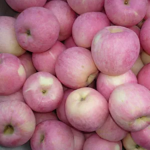 Fornitore all'ingrosso di mele Fuji biologiche fresche rosse con un prezzo economico dalla cina