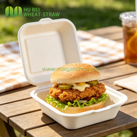 Boîte à emporter compostable en bagasse pour burger, format 6x6 pouces, avec couvercle, qualité alimentaire, vente directe usine