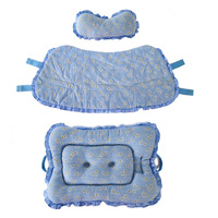 Ensemble de trois pièces de luxe moderne pour poussette d'animaux : tapis, coussin et bavoir pour chiens/chats ; motif floral résistant aux taches, fibre de haute qualité