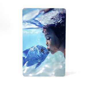 Tarjeta de PVC impresa personalizada HF 1K Chip Fudan F08 RFID Tarjeta de pago - Product Image 5