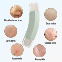 Spatule manuelle double extrémité en acier inoxydable pour le nettoyage en profondeur des pores du nez et l'extraction des points noirs – Kit de nettoyage facial