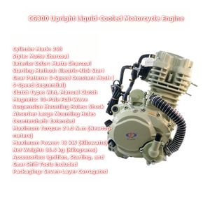 Moteur de scooter CG300, moteur refroidi par liquide, moteur de moto, tricycle, motores de moto - Product Image 1