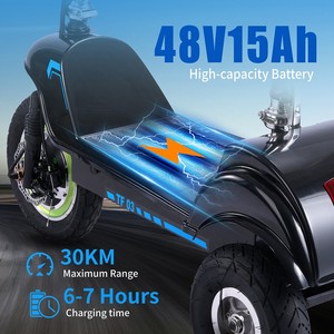 Scooter Twofish Tf03 350w 48v 15ah 28km/h avec pneus avant de 12 pouces et arrière de 10 pouces, autonomie de 30 km, siège amovible Tf03 - Product Image 5