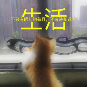 Cat Window Suction Toy Ball With <b>Track</b> For Indoor Play Boredom Buster Pet Interactive Toy - Product Image 4