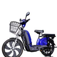 Scooter Eléctrico con Motor de 350W y Batería de 48V 12Ah, Cuadro de Acero, Disponible en Almacén Europeo, en India