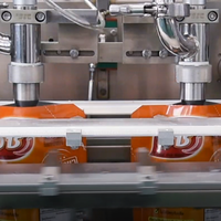 Machine de remplissage de sachets entièrement automatique de la marque Acepack pour le ketchup, la mayonnaise, la sauce, etc.