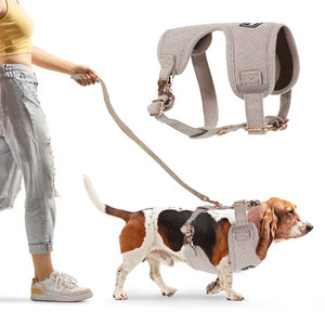 Ensemble de harnais pour <span class=keywords><strong>chien</strong></span> personnalisé, sûr, réfléchissant et respirant, avec sac à déjections canines, tendance pour les voyages et les jouets à mâcher - Product Image 3