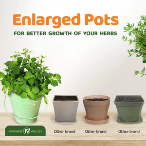 Modern Home Kitchen Starter Kit with Non-GMO <strong>Basil</strong> Herb Indoor/Outdoor Food Medicinal Tea Iron Plastic Fresh Food <strong>Container</strong> - Product Image 2