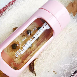 Mug de voyage à double paroi en verre de haute qualité avec infuseur à thé, séparation eau/thé, design mignon, unisexe, randonnée, logo personnalisé, portable - Product Image 4