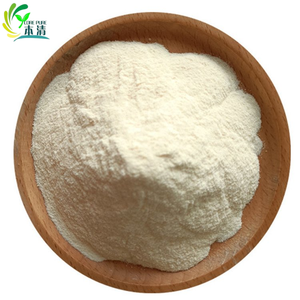 Поставка высококачественного порошка дуриана пищевой натуральный фруктовый порошок дуриана по лучшей цене - Product Image 1