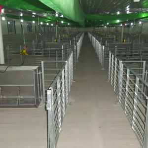 Conception OEM ODM Clôture pour porcs de type US Clôture pour porcs Tuyau en acier chaud GLV de haute qualité pour l'agriculture Palier d'engraissement pour porcs - Product Image 1