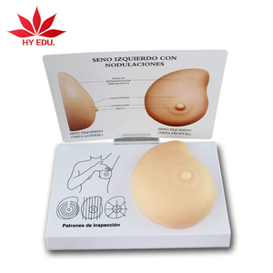 Simulator Pemeriksaan Payudara Model Lanjutan Model Anatomi Payudara - Product Image 1