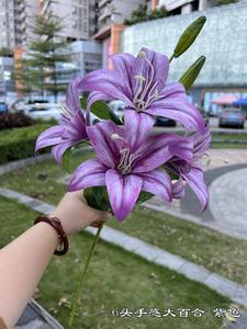 Flores artificiales para decoración de pared, decoración para boda, fiesta nupcial, hogar y oficina, color púrpura, nuevas - Product Image 6