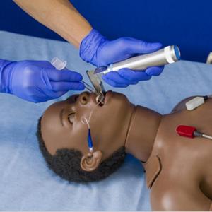 MEDVISION ARTHUR Simulador de Entrenamiento con Maniquí Anatómico de Silicona para Ciencias Médicas con Certificación CE - Product Image 3