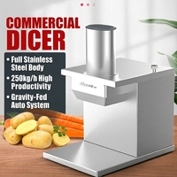 Mond.uk 250kg/uur Commerciële Elektrische 200W Multi-Voltage Automatische RVS Groente Snijmachine Fruit Snijmachine Snijmachine voor