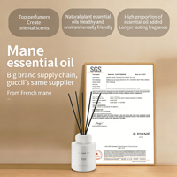 Diffuseur de parfum d'ambiance de luxe en céramique sans flamme pour la maison, avec huiles essentielles d'aromathérapie, cadeau idéal pour le bien-être