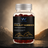 Gummies de Shilajit pour adultes, saveur baies, matière première himalayenne, gummies nutritifs, fabricant en gros