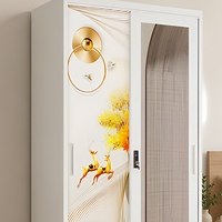 Armoire moderne à portes coulissantes en acier imprimé pour chambre à coucher, meuble à monter soi-même en kit plat